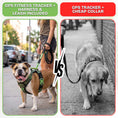 Load image into Gallery viewer, Healthy Harness FITNESS TRACKER