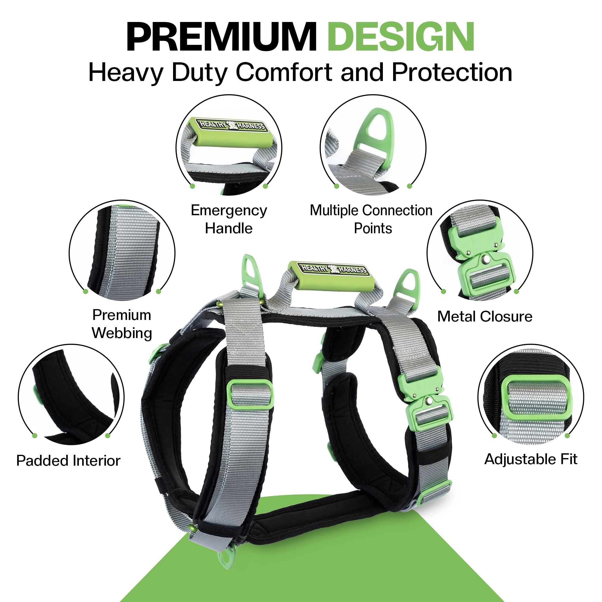 10 Key Features of a Premium Dog Harness