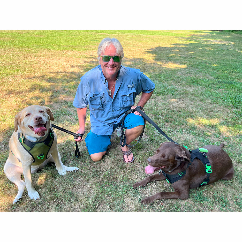 Common Myths About Dog Harnesses