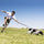 Why Collars Might Not Be the Best Choice for Your Dog