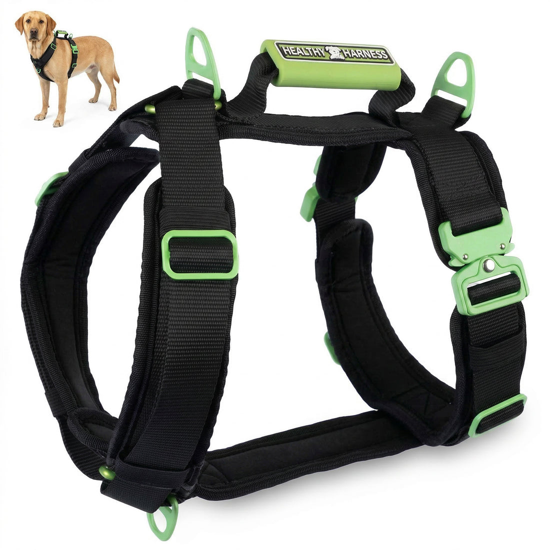 ULTIMATE URBAN Harness