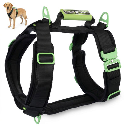 ULTIMATE URBAN Harness