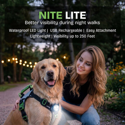 Healthy Harness NITE Lite