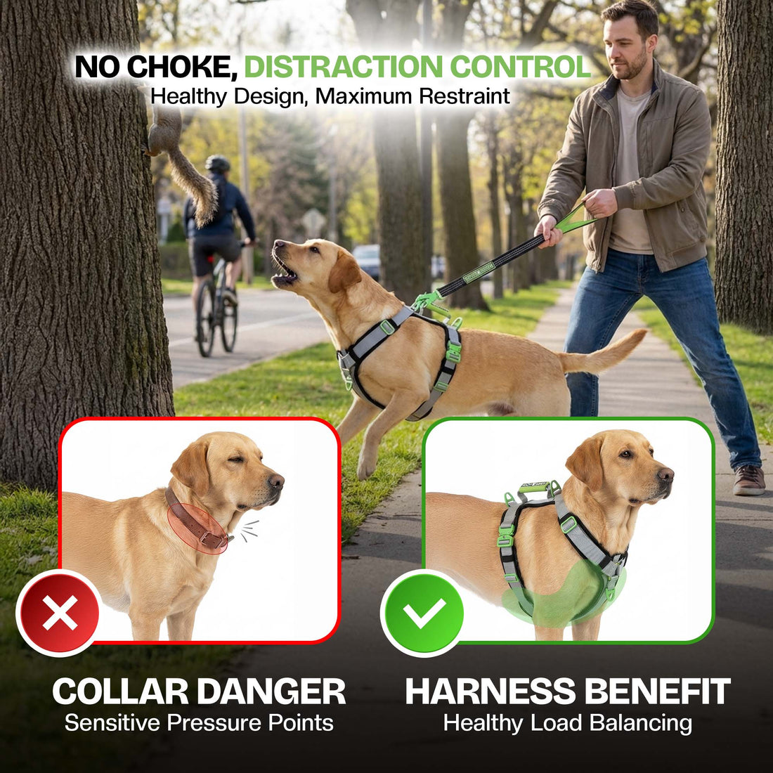 ULTIMATE URBAN Harness