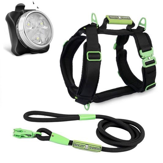 ULTIMATE URBAN Harness, LEASH and NITE Lite Bundle