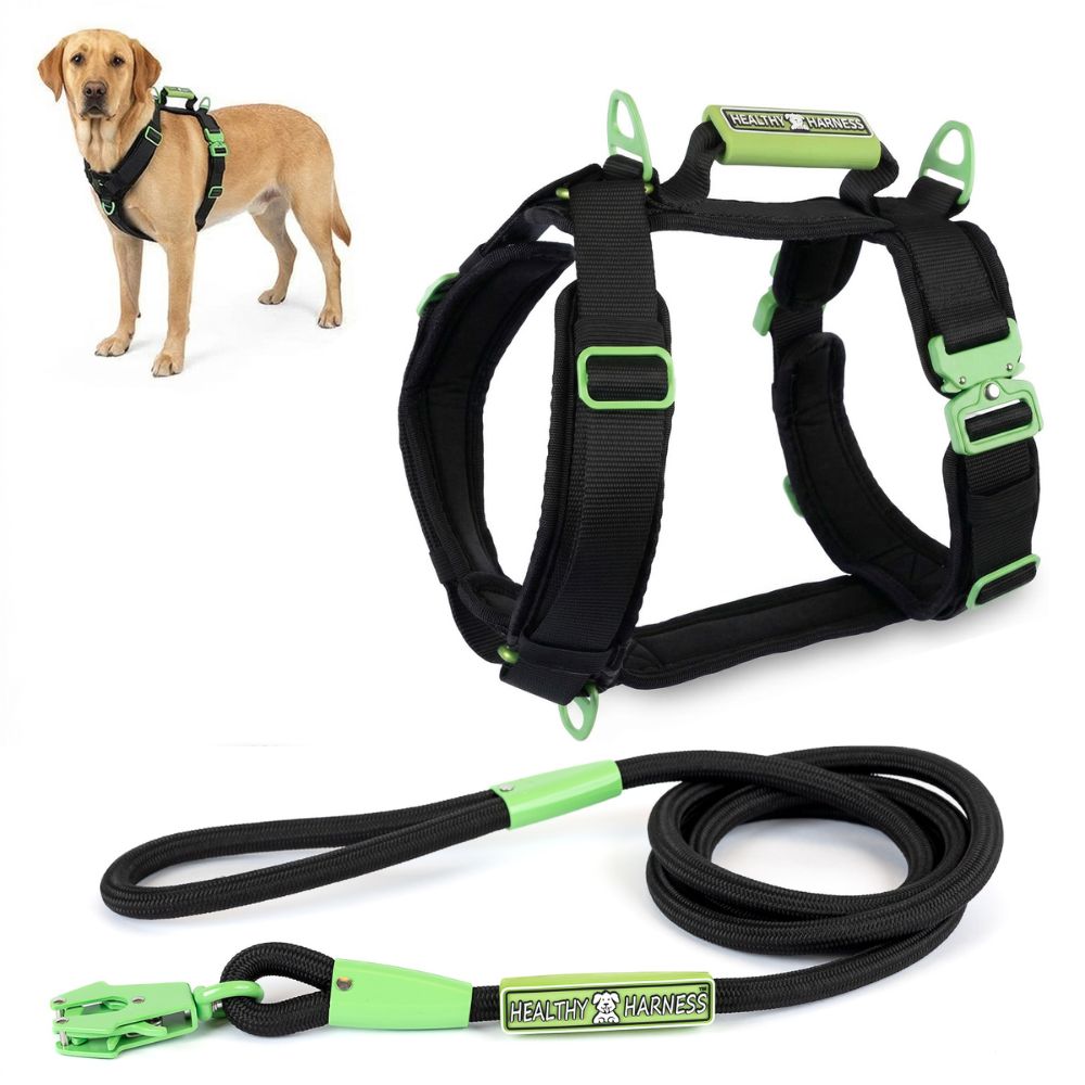 ULTIMATE URBAN Harness and FREE LEASH