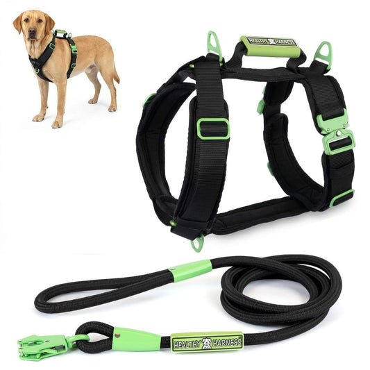 ULTIMATE URBAN Harness and FREE LEASH