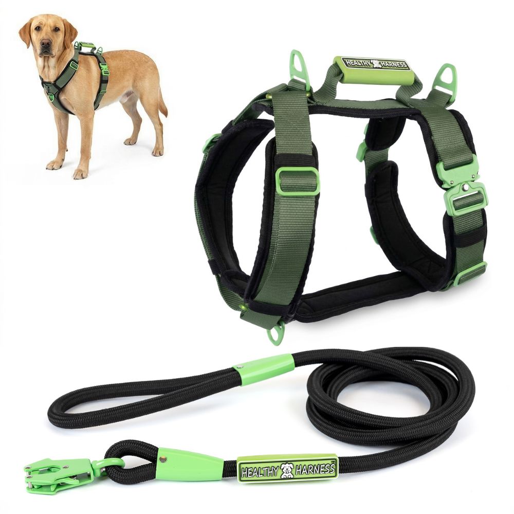 ULTIMATE URBAN Harness and FREE LEASH
