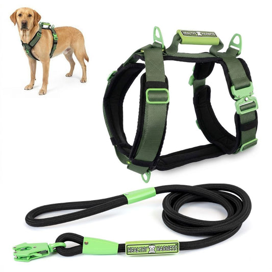 ULTIMATE URBAN Harness and FREE LEASH