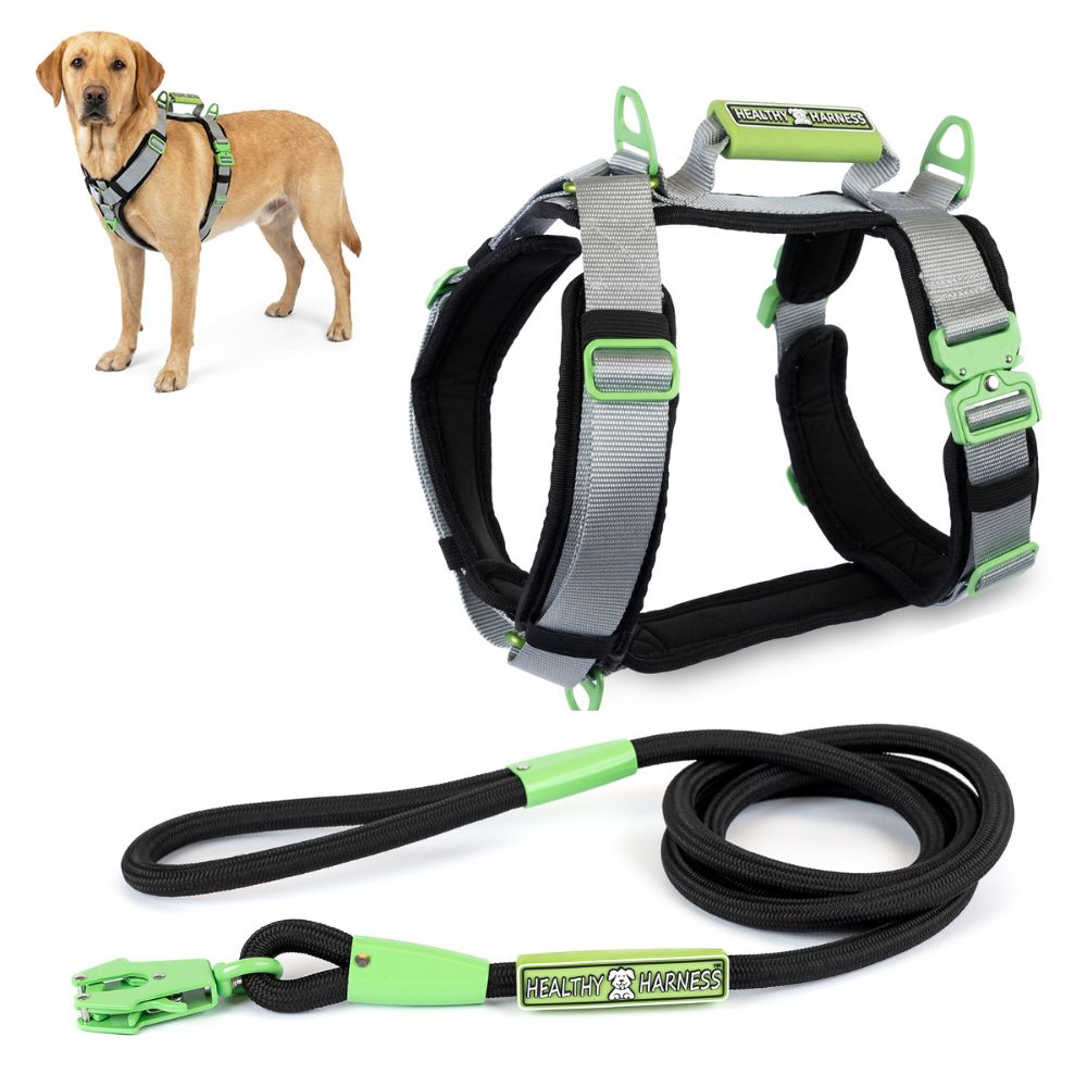 ULTIMATE URBAN Harness and FREE LEASH