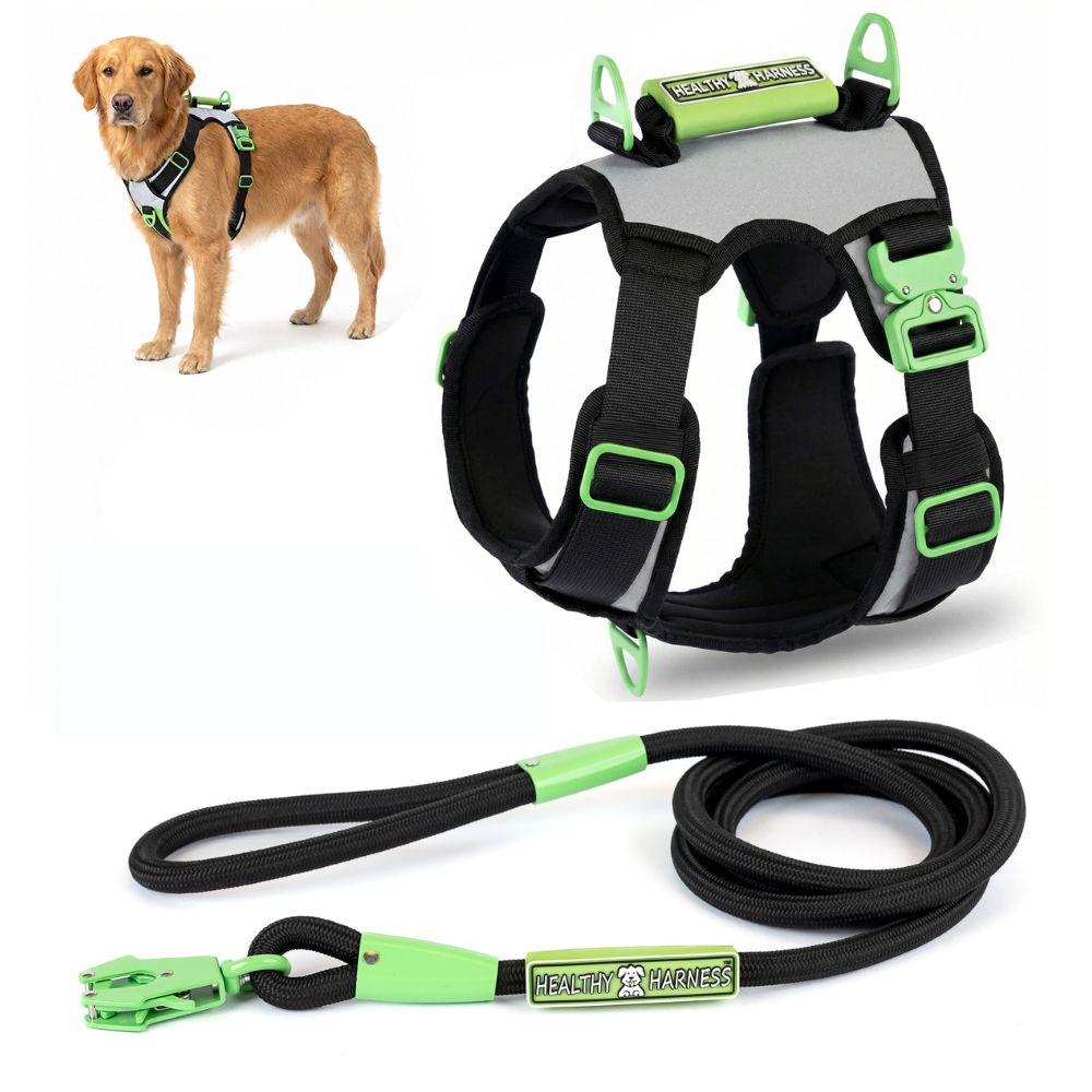 SUPREME SPORT Harness and FREE LEASH