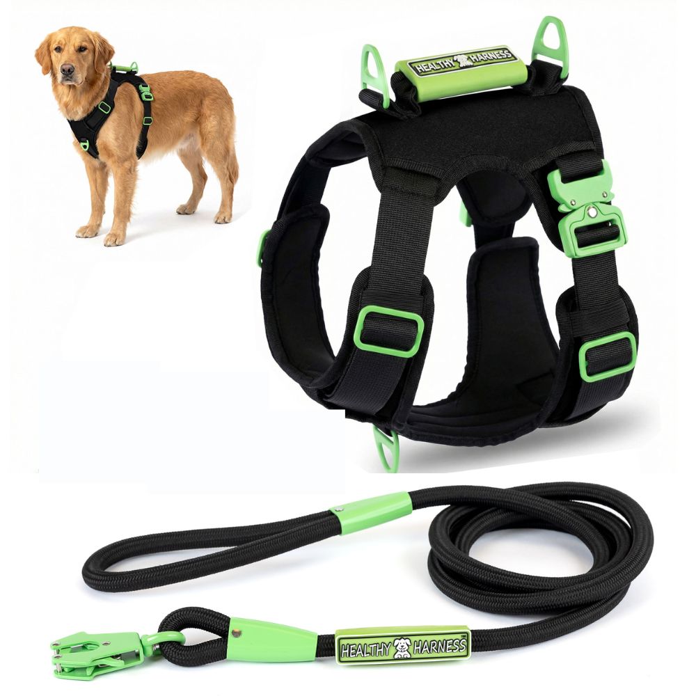SUPREME SPORT Harness and FREE LEASH