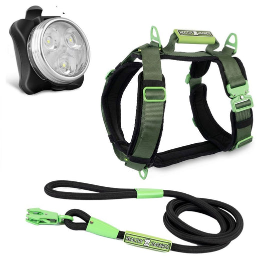 ULTIMATE URBAN Harness, LEASH and NITE Lite Bundle