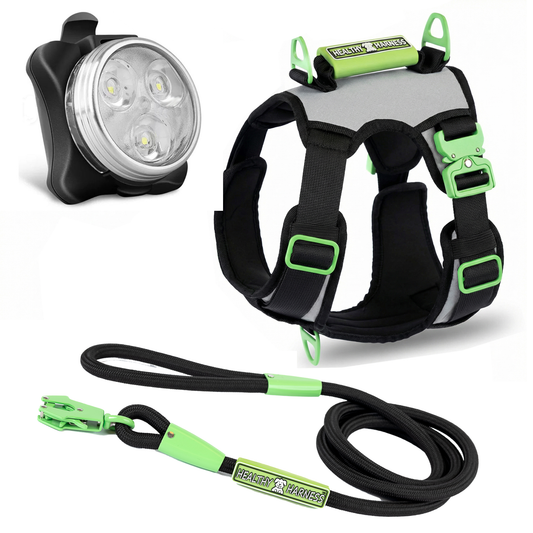 SUPREME SPORT Harness, LEASH and NITE Lite Bundle