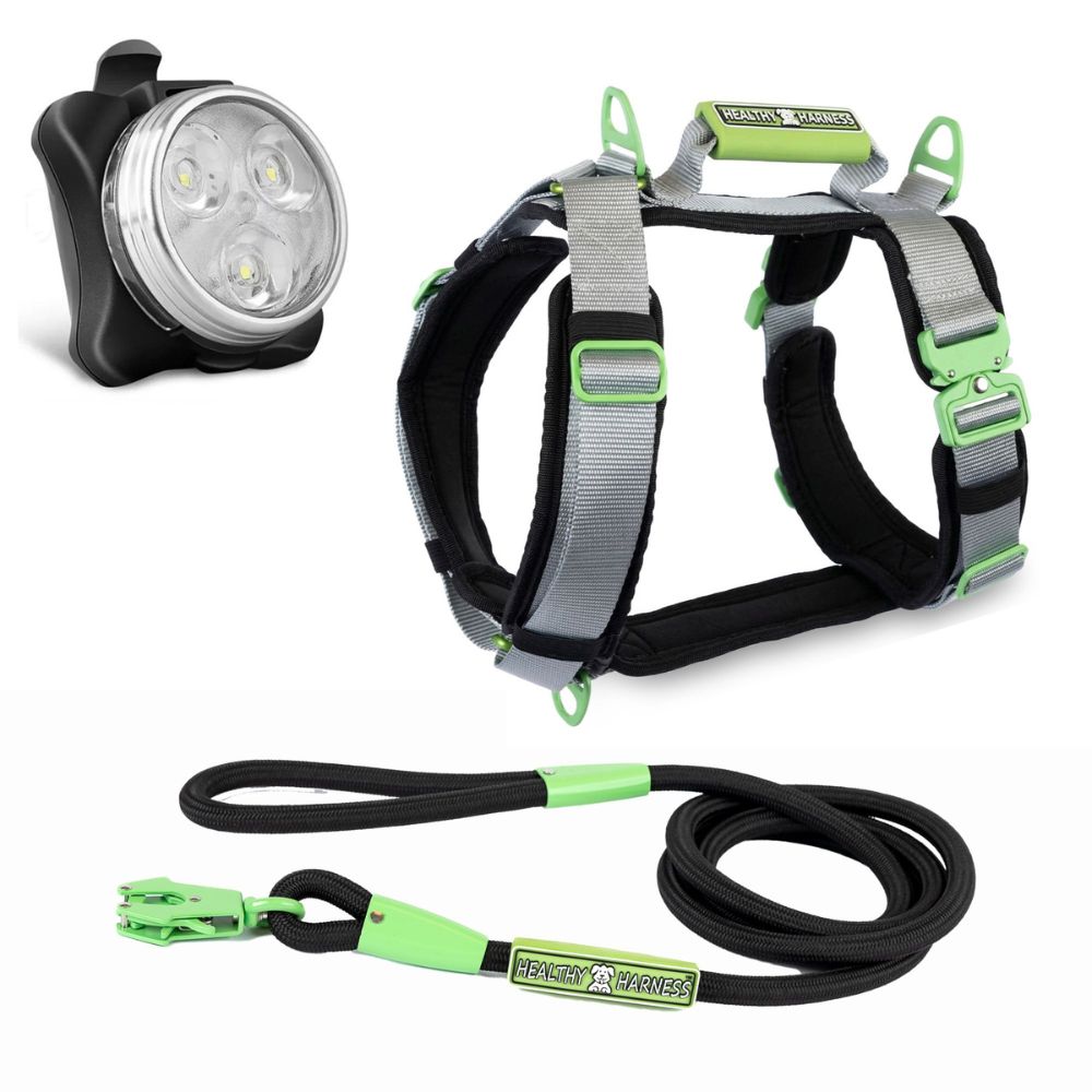 ULTIMATE URBAN Harness, LEASH and NITE Lite Bundle