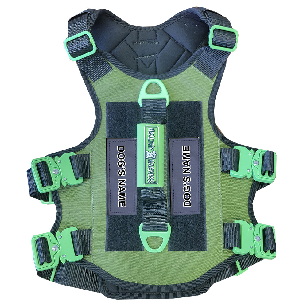 ABSOLUTE ADVENTURE Harness