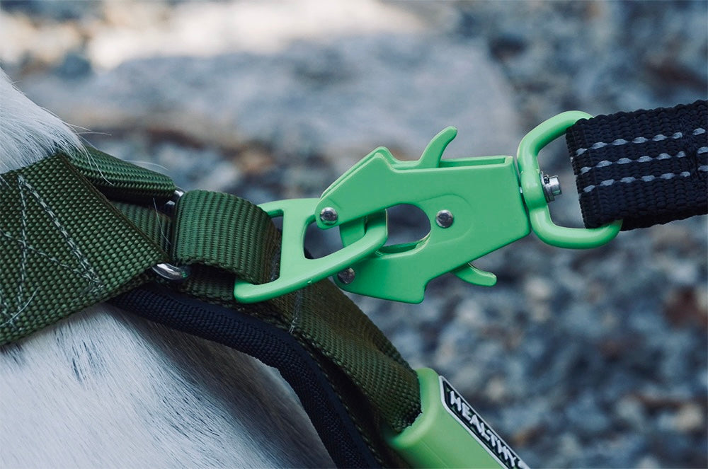 ABSOLUTE ADVENTURE Harness