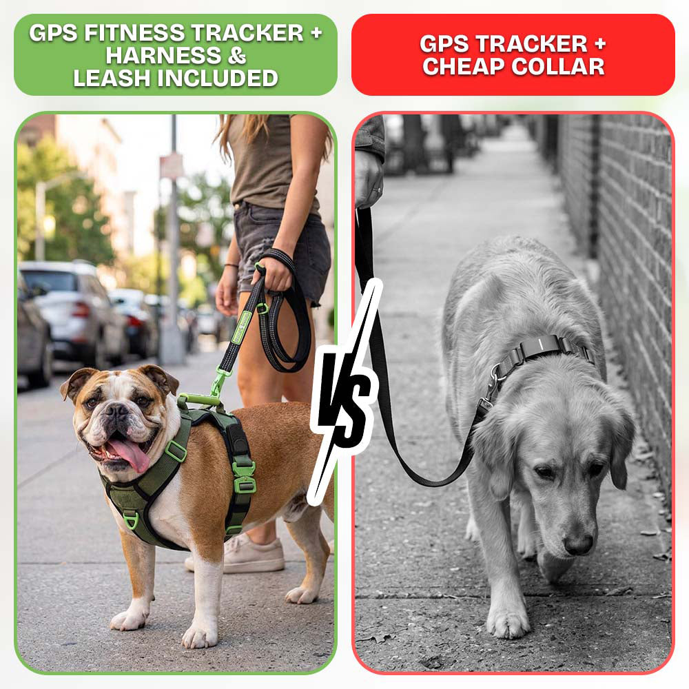 Healthy Harness FITNESS TRACKER