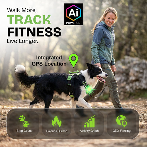Tracker d'activité Healthy Harness