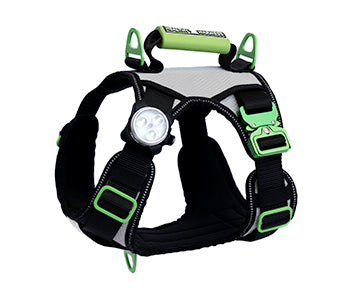 Healthy Harness NITE Lite