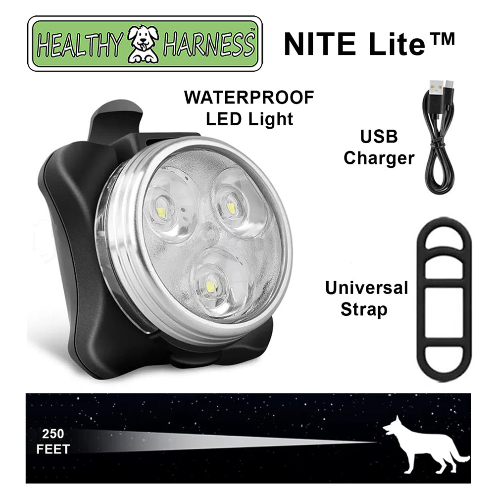 ULTIMATE URBAN Harness, LEASH and NITE Lite Bundle