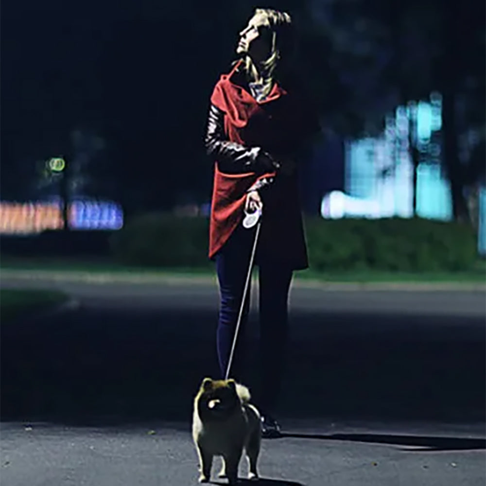 Healthy Harness NITE Lite