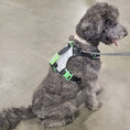 Load image into Gallery viewer, SUPREME SPORT Harness and FREE LEASH
