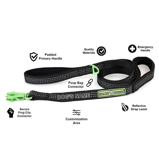 Healthy Harness STRAP LEASH