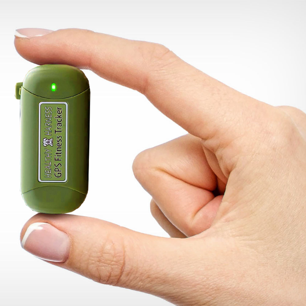 Healthy Harness FITNESS TRACKER