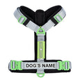 Load image into Gallery viewer, ULTIMATE URBAN Harness and FREE LEASH
