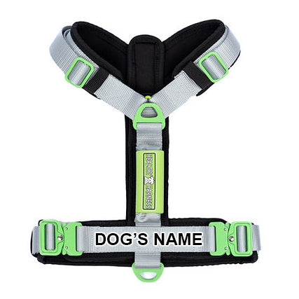ULTIMATE URBAN Harness and FREE LEASH