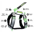 Load image into Gallery viewer, ULTIMATE URBAN Harness and FREE LEASH
