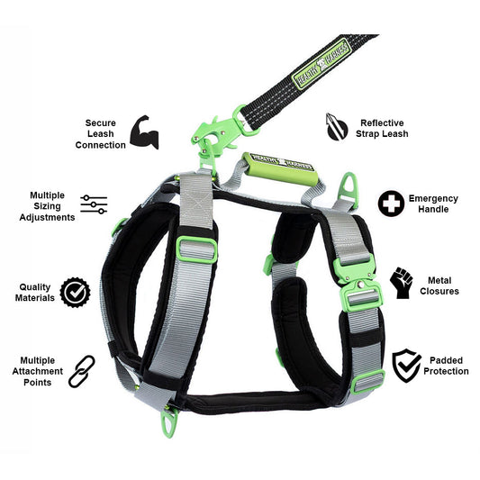 ULTIMATE URBAN Harness