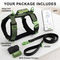 Load image into Gallery viewer, Healthy Harness FITNESS TRACKER
