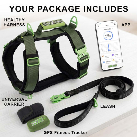 Healthy Harness FITNESS TRACKER